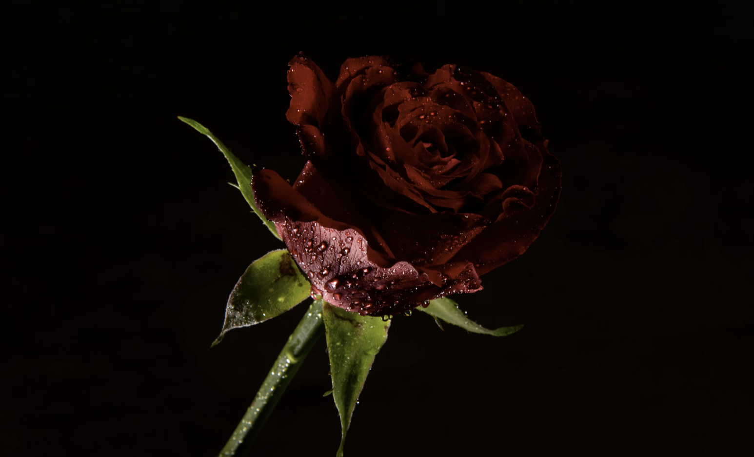 Harcèlement moral — Nouvel opus